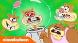 SpongeBob | 30 MENIT momen teraneh Sandy!  | Nickelodeon Bahasa
