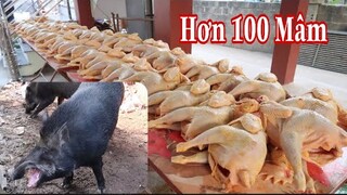 M.ổ 2 con Lợn Rừng 1 Trâu 50 Con Gà (#1) Mừng Nhà Mới Người Mường 100 Mâm