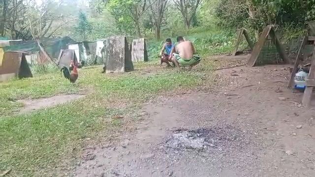 Dome vs Maclean Hatch