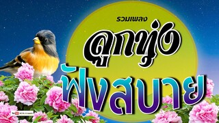 ลูกทุ่ง ฟังสบาย  " คัดพิเศษ"  #รวมเพลงลูกทุ่งฟังเพราะ #เสียงดี