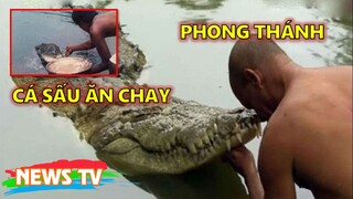 [TIN 24H]. Cá sấu ở đền chỉ ăn chay, được tôn sùng như THÁNH #nghỉ hè