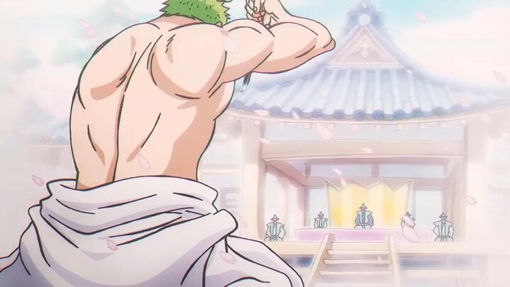 ZORO MOMENTS
