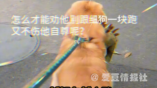 细狗：感谢主人的5公里摧毁室友大学梦