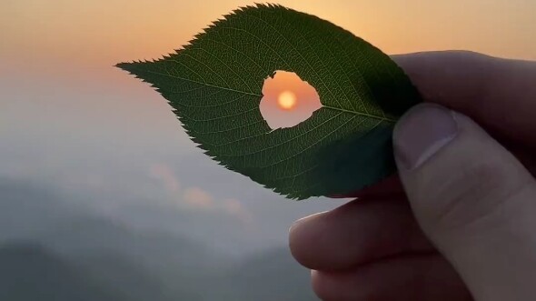 What is the real dream?